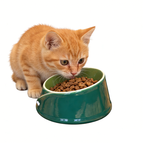 Ceramic Pet Bowl: Spill-Resistant, Thickened, and Non-Slip