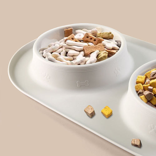 Eco-friendly Stainless Steel and Portable Silicone Pet Bowls